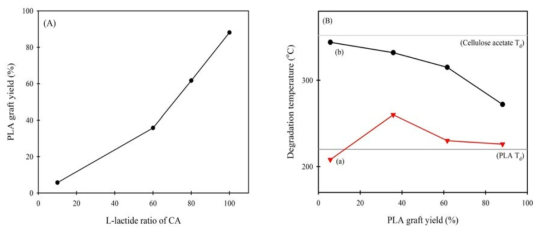 (A) CA에 대한 락타이드의 비율에 따른 그라프트율, (B) 그라프트율에 따른 CA와 PLA의 분해온도