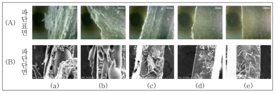 CA-g-PLA가 10phr 첨가된 CA/PLA(1/1,wt) 블렌드 필름 시료의 (A) 파단표면 광학 현미경 이미지 (x60) 및 (B) 파단 단면 SEM 이미지(x500) ; (a) 미첨가, (b) CA-g(6.7)-PLA, (c) CA-g(35.8)-PLA, (d) CA-g(61.7)-PLA, (e) CA-g(88.1)-PLA