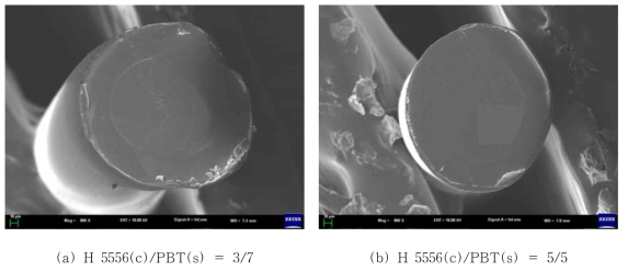 H 5556(c)/PBT(s)의 비율별 필라멘트의 모폴로지