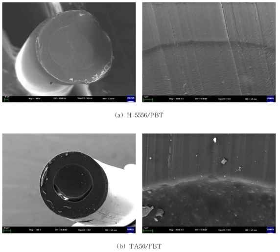 코어/시스 구조의 Elastomer/PBT의 FE-SEM결과