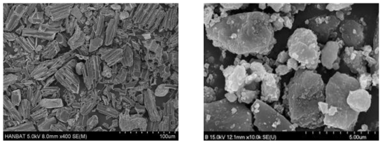 항균필라멘트 제조용 감귤숯 및 화산송이 후보군 원료의 전자현미경 사진