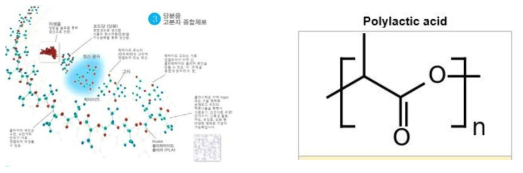 PLA의 제조공정 및 화학 구조식