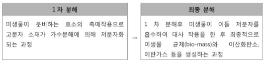 생분해 메커니즘