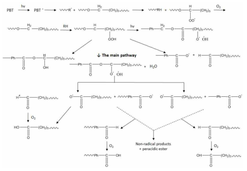 PBT의 photodegradation mechanism