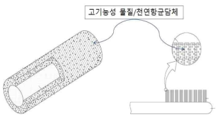 칫솔 내 고기능성물질/천연항균담체 형상