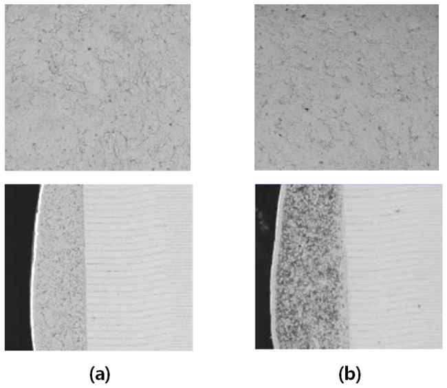 (a) 일반, 및 (b) Cu-epoxy MLCC의 도금 후 표면(上) 및 단면(下) 사진