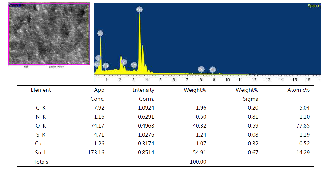 침전물의 SEM-EDS 성분 분석 결과