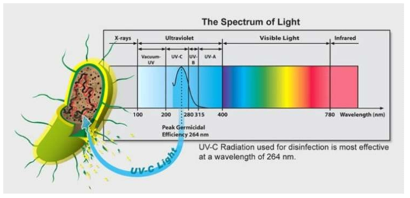 파장별 살균 효과