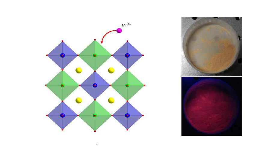 Mn4+가 도핑된 Sr2MgWO6:Mn4+의 구조(좌) 및 실제 합성한 형광체 사진(우)