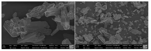 합성된 형광체의 FE-SEM 이미지 (좌 - 800배, 우 – 3000배)