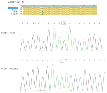 cloning 후 UGT1A1 *6 wild type과 *6 mutant type의 서열분석을 통하여 의도한 플라스미드 DNA를 확보함을 검증 함.