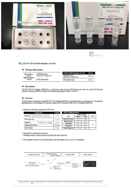 HB UGT1A1 Assay Test 시제품과 프로토콜