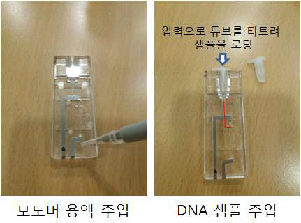 마이크로피펫을 이용한 monomer 용액의 채널 내 주입 및 PCR 산물 주입