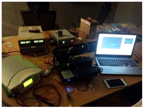 마이크로 칩 (Lab-PCR-Polymer-Chip) 내 DNA단편의 분리를 위한 전기 영동 (최정버전)