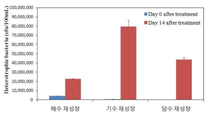 재성장 시험종료 시점에 각각의 염분 구배 처리수하에서 살아 있는 박테리아 생물 그룹 관찰 결과