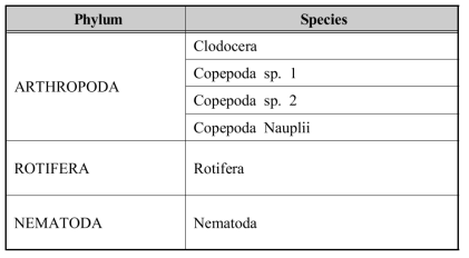 선보공업 AOP 시스템 담수 시작 시험 시 출현한 ≥50 μm 생물 종 목록