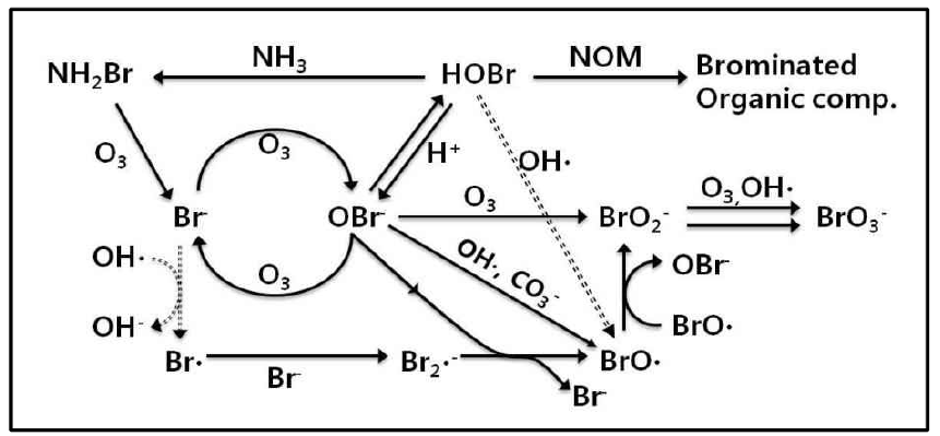 해수에서의 오존과 브롬(Br)의 반응