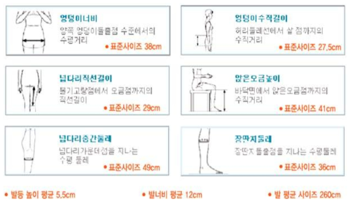 표준 신체 사이즈.