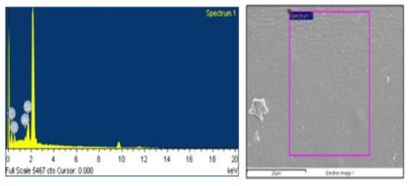 PET 원사의 EDX 정량분석 스펙트럼 및 Zeolite 입자