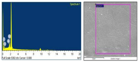TPU 원사의 EDX 정량분석 스펙트럼 및 Zeolite 입자