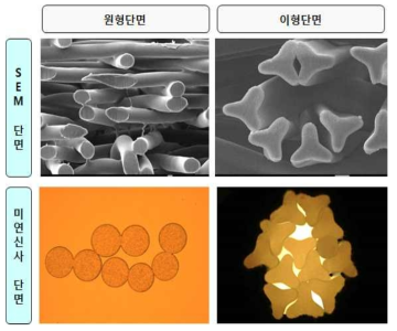 원형단면 및 이형단면 Image 비교