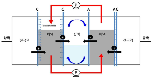 2차 전기투석 장치의 개략도