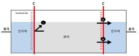 3차 전기투석장치의 개략도