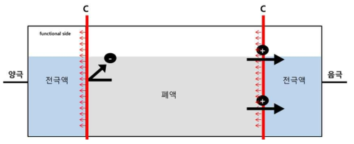 6차 전기투석장치의 개략도