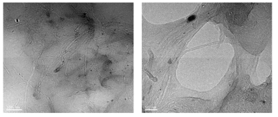 Soft type의 나노제품: Gasket(Urethane)에 대한 고분해능 투과전자현미경 분석결과