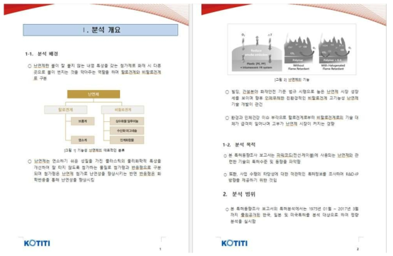 관련 특허 및 선행기술 조사 보고서