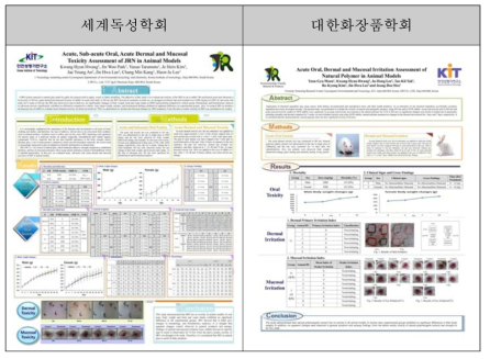 안전성에 대한 내용 학회발표