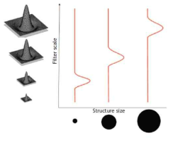 LoG : Laplacian of Gaussian