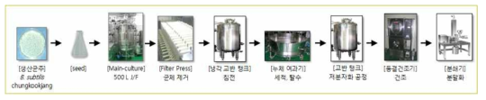 감마올리고펩타이드 제조공정.