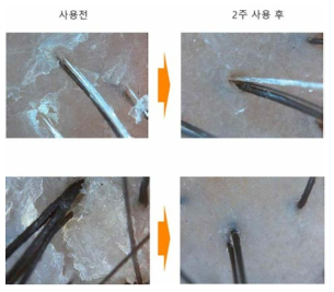 세정력 평가 사진