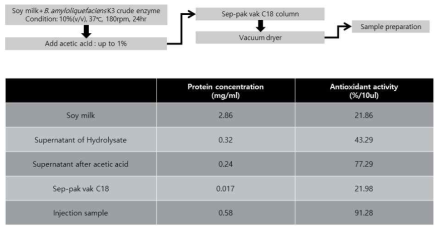 K3 균주를 이용한 두유 발효물의 단백질 함량 및 항산화 활성