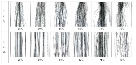 PET계 소재 핫워터 온도에 따른 크림프 변화