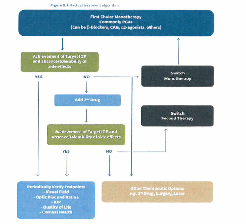 녹내장 치료 알고리즘