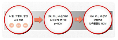 NCM 양극활물질 제조방법,
