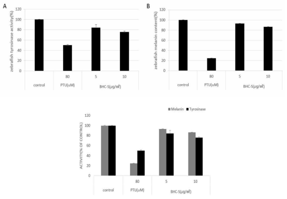 Effects of BHC-S on melanogenesis of zebrafish.