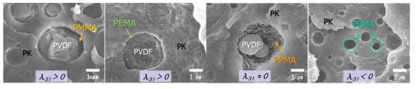 PK/PVDF/상용화제 블렌드에서 상용화제에 따른 배열 형태 변화.