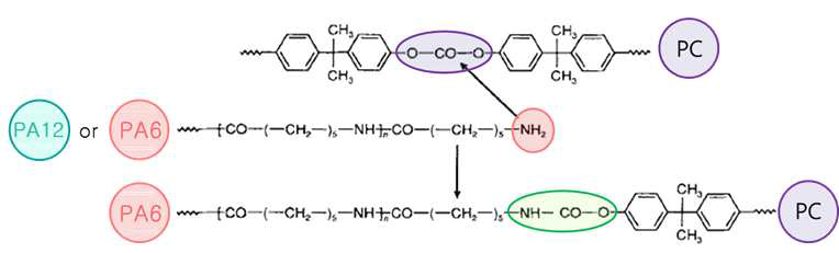폴리아미드와 폴리카보네이트의 반응을 통한 공중합체 형성 과정.