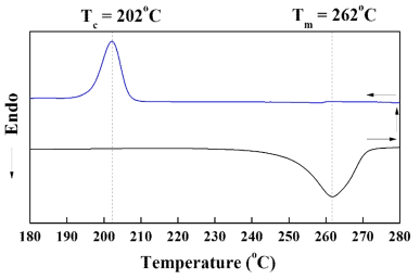 폴리케톤 섬유 제조에 사용된 폴리케톤 중합물의 DSC의 1차 승온 및 감온 곡선.