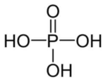 인산의 분자구조