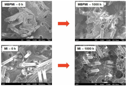 MBPMI 공정과 MI 공정으로 제조된 폴리케톤/하이브리드 탄소 필러 복합소재의 열처리 전후의 파단면 관측
