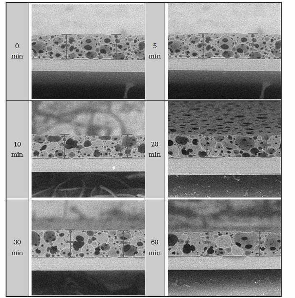 isocyanate CLA FOAM의 시간에 따른 단면 변화 이미지