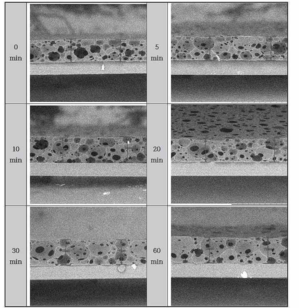 Blocked isocyanate CLA Foam의 시간에 따른 단면 변화 이미지