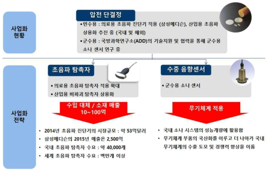 압전 단결정 및 복합체의 사업화 전략 및 계획