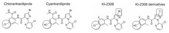 Cholorantraniliprole & Cyantraniliprole / KI-02308 및 추가유도체 구조