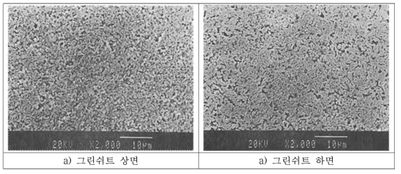 Si3N4 그린쉬트의 상. 하면 SEM 사진