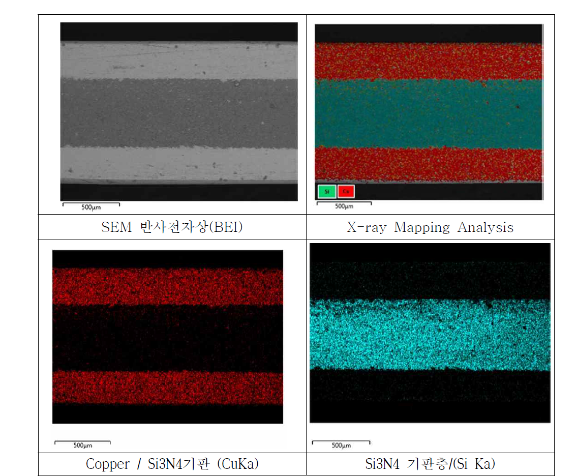 동접합 Si3N4 기판 Cross Section X-Ray Mapping 분석